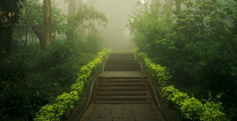 5 Atmospheric Novels Where the Setting Is a Character ‹ CrimeReads