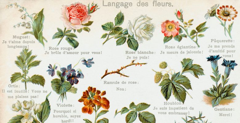 Mysteries Written in the Language of Flowers ‹ CrimeReads